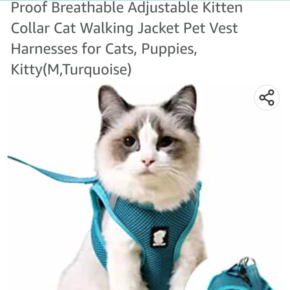 Turquoise Dotoner XS Cat/Dog Harness with Leash in package